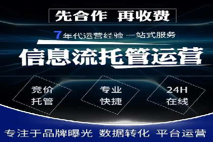 XX行业竞价广告的投放策略与效果分析